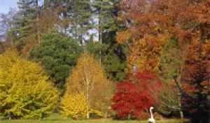 batsford.jpg