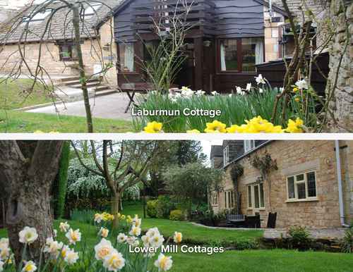 Self Catering Cottages