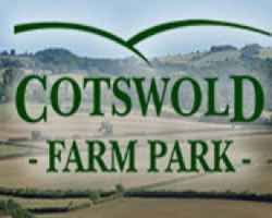 cotswoldfarmpark.jpg